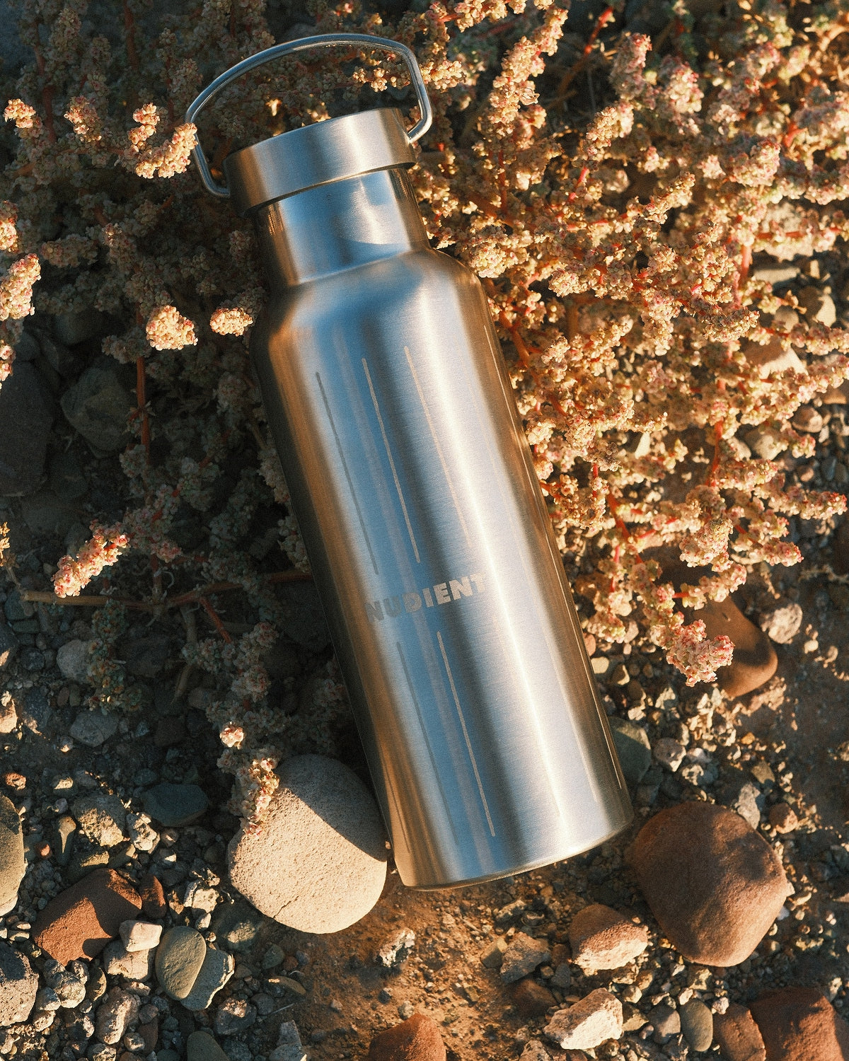 NUDIENT Water Bottle Brushed Stainless Steel